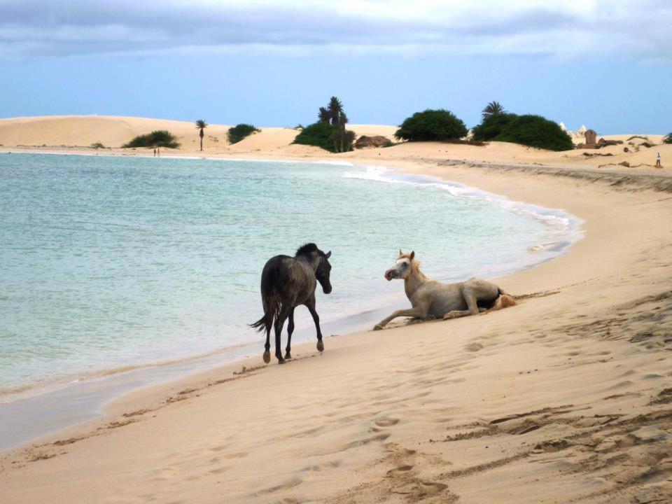 Vilas Praia De Chaves - Sol Y Mar Standart Rabil ภายนอก รูปภาพ